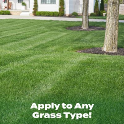 Image showing  Liquid Turf Builder Lawn Food, 32 fl. oz.