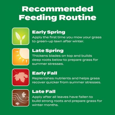 Image showing 6 th Scotts Liquid Turf Builder Lawn Food, 32 fl. oz.