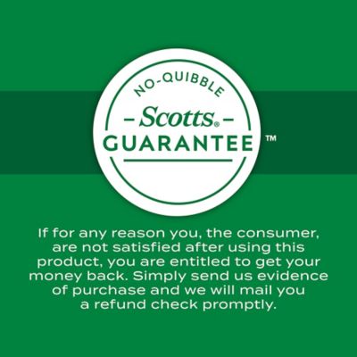 Image showing 8 th Scotts Liquid Turf Builder Lawn Food, 32 fl. oz.