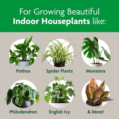 Image showing  Indoor Potting Mix, Blended for a Variety of Houseplants, 16 qt.