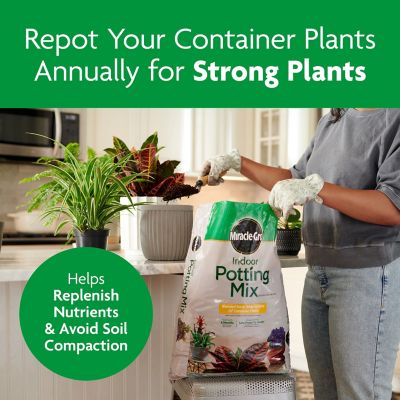 Image showing 7 th Miracle-Gro Indoor Potting Mix, Blended for a Variety of Houseplants, 16 qt.