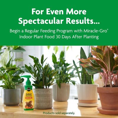Image showing 9 th Miracle-Gro Indoor Potting Mix, Blended for a Variety of Houseplants, 16 qt.