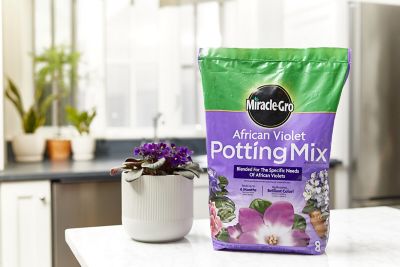 Image showing  8 qt. African Violet Potting Mix