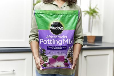 Image showing  8 qt. African Violet Potting Mix