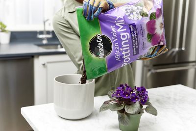 Image showing  8 qt. African Violet Potting Mix