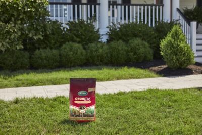 Image showing 7 th Scotts 28.7 lb. GrubEx1 Season Long Grub Killer