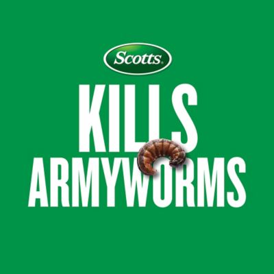 Image showing 9 th Scotts 28.7 lb. GrubEx1 Season Long Grub Killer