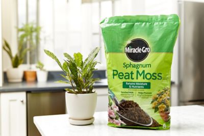 Image showing  8 qt. Sphagnum Peat Moss Plant Mix, 2-Pack
