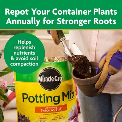 Image showing 7 th Miracle-Gro 16 qt. Potting Mix, For Container Plants, 2-Pack