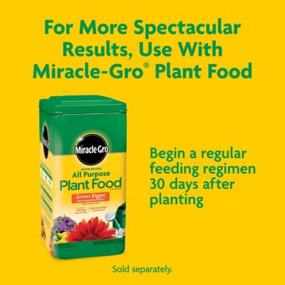 Image showing 9 th Miracle-Gro 16 qt. Potting Mix, For Container Plants, 2-Pack