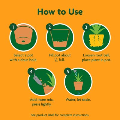 Image showing 6 th Miracle-Gro 8 qt. Cactus, Palm and Citrus Potting Mix, 2-Pack