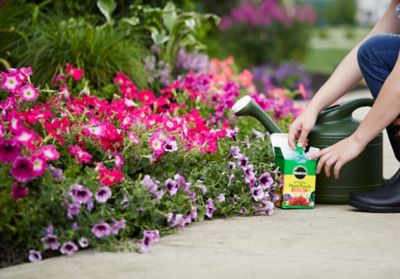 Image showing  1.5 lb. 600 sq. ft. Water Soluble All-Purpose Plant Food and Garden Feeder Bundle