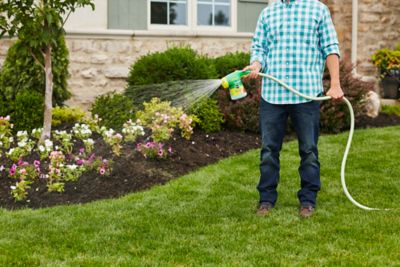 Image showing 6 th Miracle-Gro 1.5 lb. 600 sq. ft. Water Soluble All-Purpose Plant Food and Garden Feeder Bundle