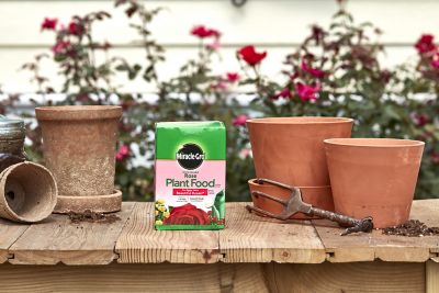 Image showing  Water Soluble Rose Plant Food 1.5 lbs., 2-Pack