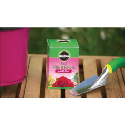 Image showing 8 th Miracle-Gro Water Soluble Rose Plant Food 1.5 lbs., 2-Pack