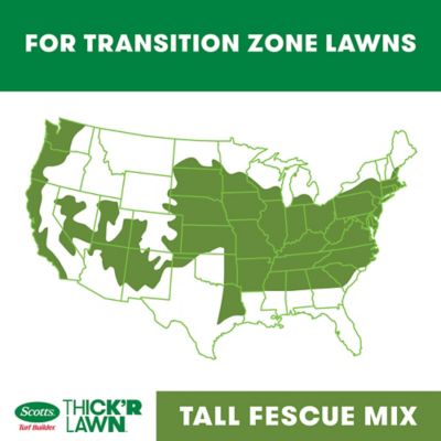 Image showing 5 th Scotts Turf Builder THICK'R LAWN Tall Fescue Mix and Scotts EZ Seed Patch & Repair Tall Fescue Lawns Bundle