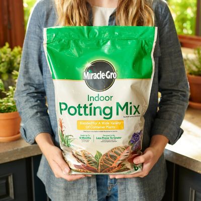 Image showing 8 th Miracle-Gro Indoor Potting Mix, Blended for a Variety of Houseplants, 6 qt., 2 pk.