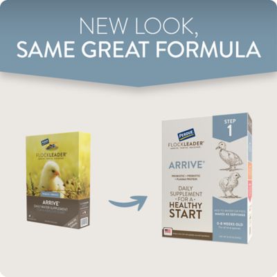 Image showing  Arrive Daily Support Supplement for Chicks, 8 oz.