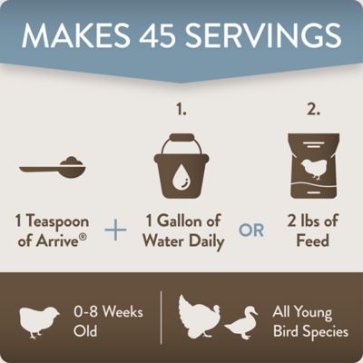 Image showing  Arrive Daily Support Supplement for Chicks, 8 oz.