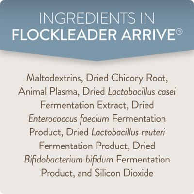 Image showing 5 th FlockLeader Arrive Daily Support Supplement for Chicks, 8 oz.