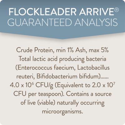 Image showing 6 th FlockLeader Arrive Daily Support Supplement for Chicks, 8 oz.