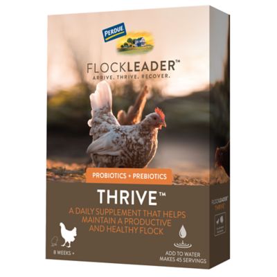 FlockLeader Thrive Daily Support for Hens Digestive Supplement, 8 oz.