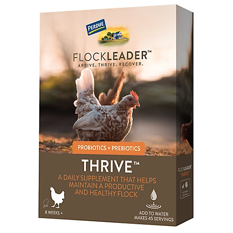 FlockLeader Thrive Daily Support for Hens Digestive Supplement, 8 oz.