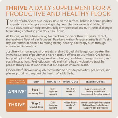 Image showing  Thrive Daily Support for Hens Digestive Supplement, 8 oz.