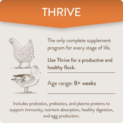 Image showing  Thrive Daily Support for Hens Digestive Supplement, 8 oz.