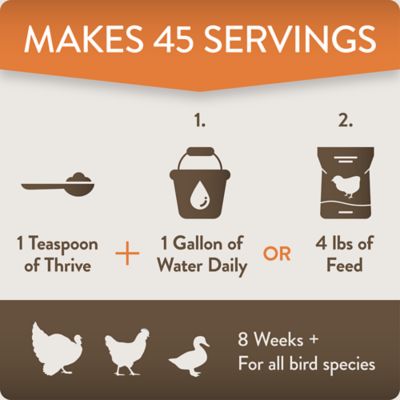 Image showing  Thrive Daily Support for Hens Digestive Supplement, 8 oz.