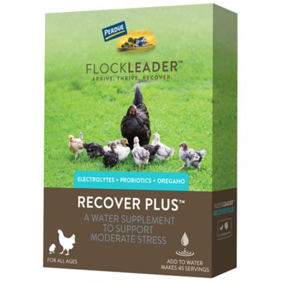 FlockLeader Recover Plus Poultry Supplement for Moderate Stress, 8 oz.