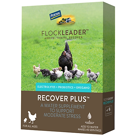 FlockLeader Recover Plus Poultry Supplement for Moderate Stress, 8 oz.