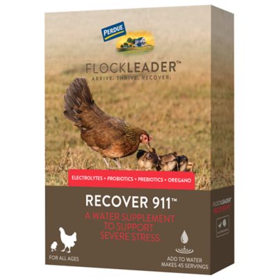 FlockLeader Recover 911 Poultry Supplement for Severe Stress, 8 oz.