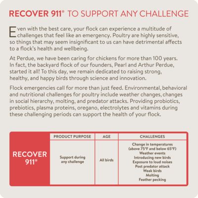 Image showing  Recover 911 Poultry Supplement for Severe Stress, 8 oz.