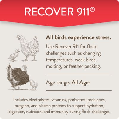 Image showing  Recover 911 Poultry Supplement for Severe Stress, 8 oz.
