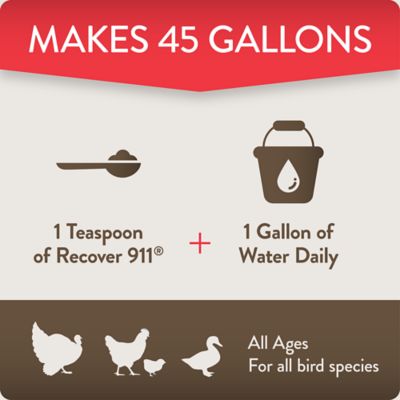 Image showing  Recover 911 Poultry Supplement for Severe Stress, 8 oz.