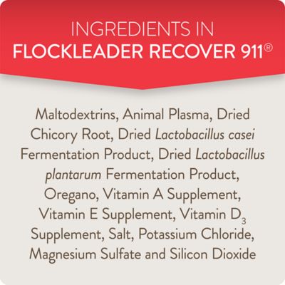 Image showing 5 th FlockLeader Recover 911 Poultry Supplement for Severe Stress, 8 oz.
