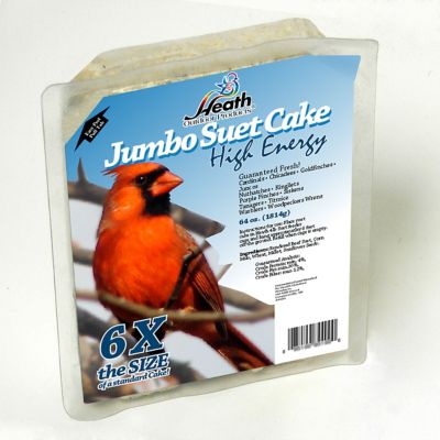 Heath Outdoor Products Jumbo High-Energy Suet Cakes, 4 lb., 4 pk.