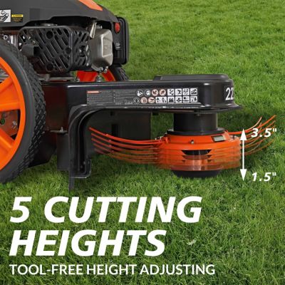 Image showing 10 th YARDMAX 22 in. 170cc 4-Stroke Gas-Powered Push Lawn String Trimmer/Mower