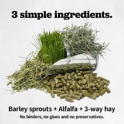 Image showing  Sprout Pelleted Complete Horse Feed, 50 lb. Bag