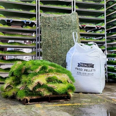 Image showing 7 th Medalist Feed Sprout Pelleted Complete Horse Feed, 50 lb. Bag