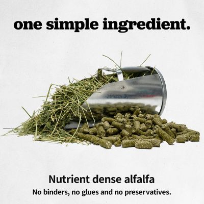 Image showing  Alfalfa Pelleted Horse Feed, 50 lb. Bag