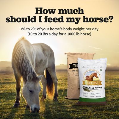Image showing  Alfalfa Pelleted Horse Feed, 50 lb. Bag
