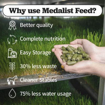 Image showing  Alfalfa Pelleted Horse Feed, 50 lb. Bag