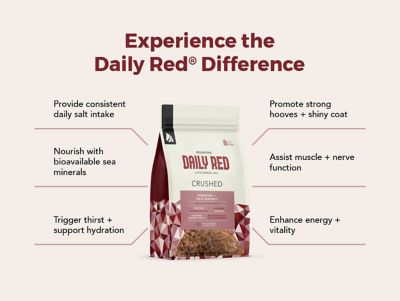 Image showing  Rock Crushed All-Natural Mineral Supplement for Horses, 5 lb.