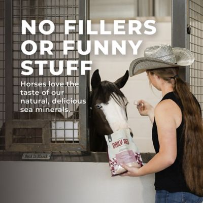 Image showing  Rock Crushed All-Natural Mineral Supplement for Horses, 5 lb.