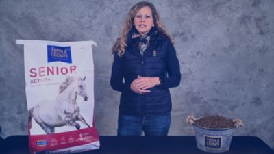 Image showing  Senior Active+ Horse Feed, 40 lb. Bag