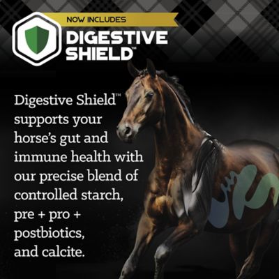 Image showing  Fuel XF Textured Horse Feed, 50 lb. Bag