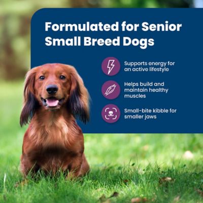 Image showing  Small Breed Senior Chicken and Brown Rice Recipe Dry Dog Food