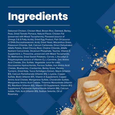 Image showing  Small Breed Senior Chicken and Brown Rice Recipe Dry Dog Food